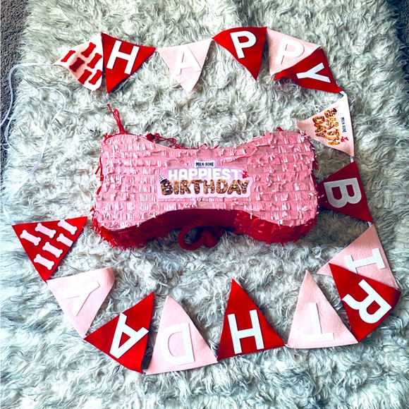 Milkbone Pink, Red & White Pet Party Piñata & Birthday Banner Set Decorations - Picture 1 of 4